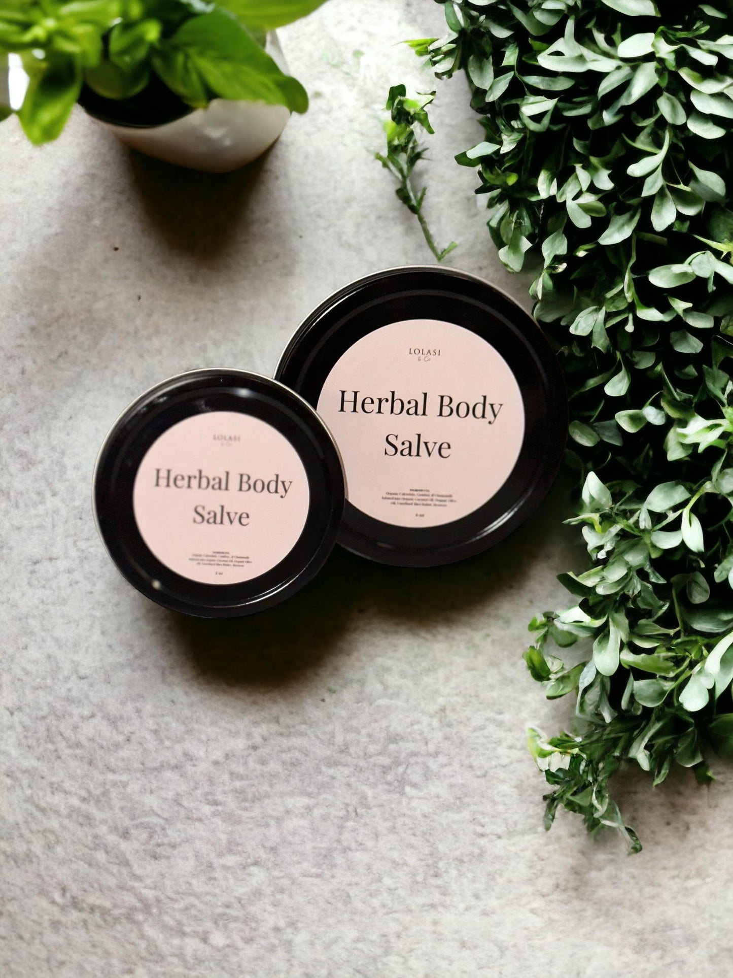 Herbal Body Salve